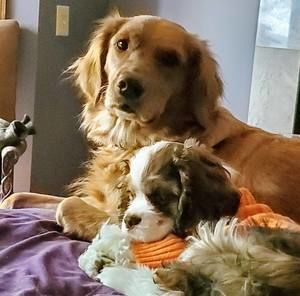 Meet your Posher, Michelle